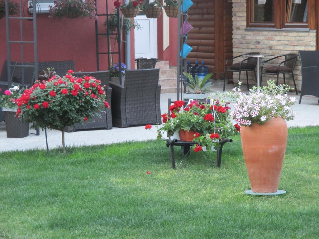 Vila Boska Palić Exterior foto